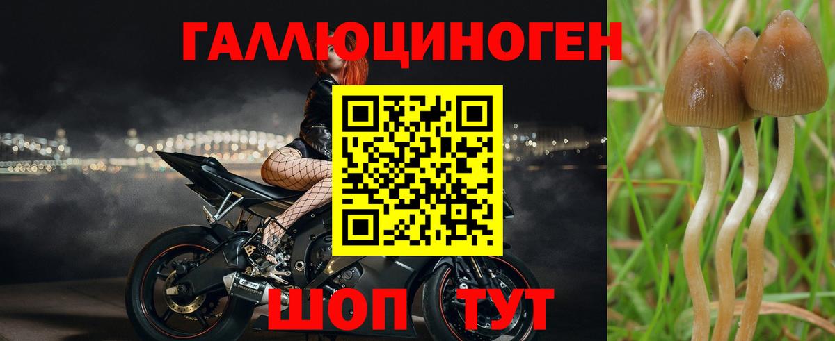 Галлюциногенные грибы мухоморы Нижневартовск